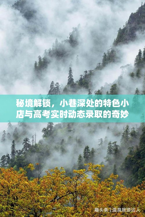 秘境解锁，小巷特色小店与高考录取动态的奇缘