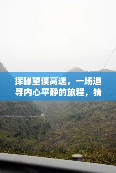 芳兰竟体 第3页