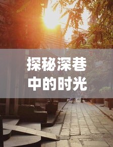 深巷时光之窗，特色小店的隐秘魅力与2024政事微探