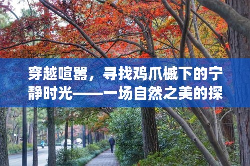 喜笑颜开 第3页