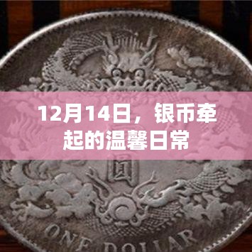 银币牵起的温馨日常，12月14日的暖心故事
