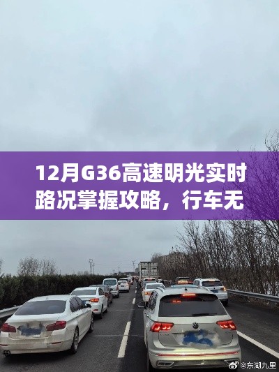 老死不相往来 第3页