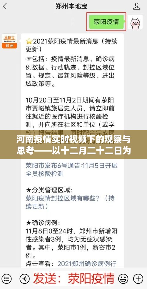 河南疫情实时观察，十二月二十二日的深度思考与洞察