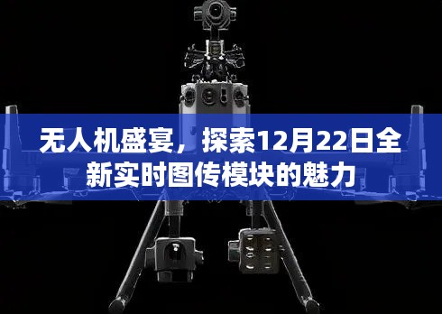 虫言鸟迹 第2页