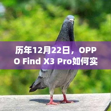 轻飞曼舞 第3页