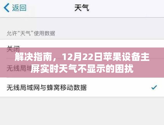 解决指南，苹果设备主屏实时天气不显示的困扰（12月22日版）