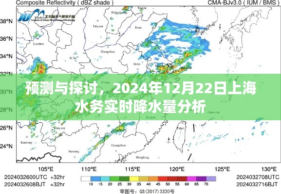 上海水务实时降水量预测与探讨，2024年12月22日分析报告