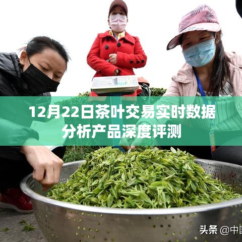 鸢飞戾天 第2页