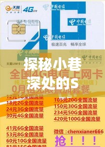 探秘小巷深处的SUSE网卡流量观测特色小店，技术与美食的双重体验之旅