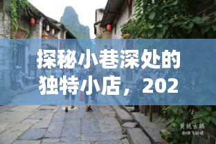 探秘小巷深处独特小店，实时直播摄像头下的惊喜瞬间（2024年）