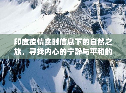 印度疫情下的自然之旅，寻求内心宁静与平和的探险之旅
