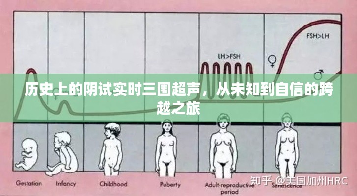 悬梁刺股 第3页