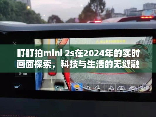 盯盯拍mini 2s 2024实时画面探索，科技与生活的无缝融合新体验