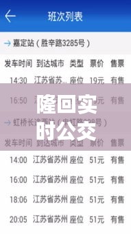 隆回实时公交查询系统，未来公共交通新体验（2024年12月22日）