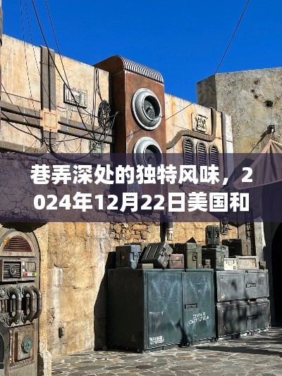 巷弄深处的独特风味，美国与伊朗交汇的小店故事，实时记录于2024年12月22日