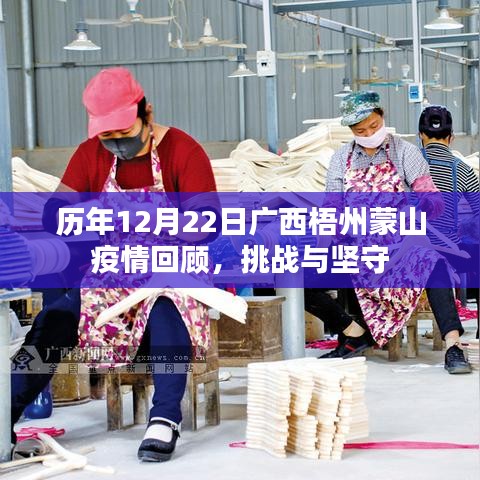 历年12月22日广西梧州蒙山疫情回顾，挑战与坚守之路