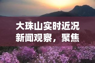 大珠山实时近况新闻观察，多元视角聚焦2024年12月22日观点碰撞日