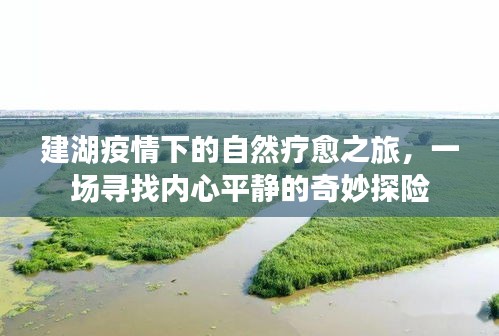 建湖疫情下的自然疗愈之旅，内心平静的奇妙探险之旅