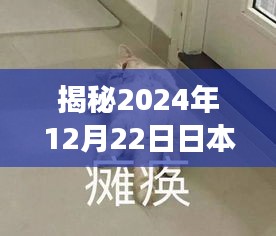 揭秘台风玛娃在日本，实时动态之旅（附日期）