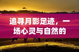 初遇在故事开头 第3页