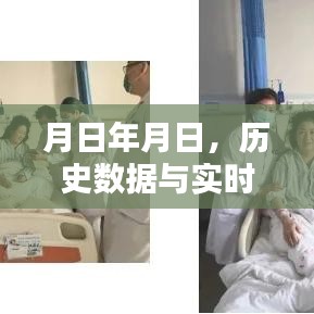 月日年月日，历史数据与实时疫情追踪系统全面评测