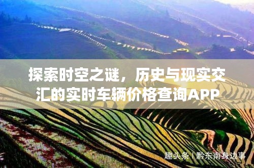 时空探索与实时车辆价格查询APP，历史与现实交汇的驾驶经济导航