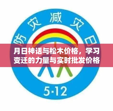 松木价格探索之旅，学习变迁的力量与月日神话实时批发价格的探索
