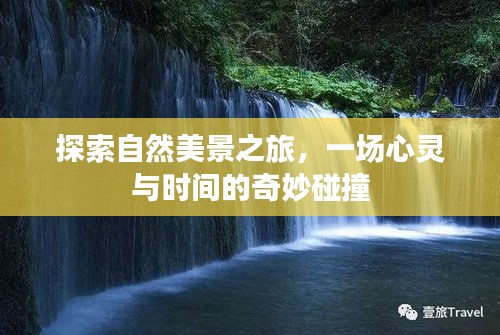 产品中心 第308页
