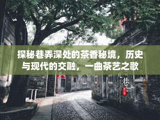 巷弄深处的茶香秘境，历史与现代的悠扬茶艺之歌