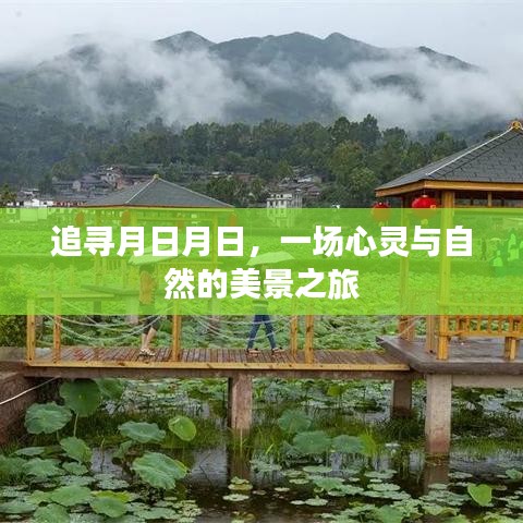 追寻月日月日，心灵与自然的绝美之旅