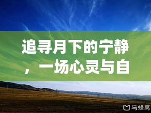 鸡飞狗跳 第3页