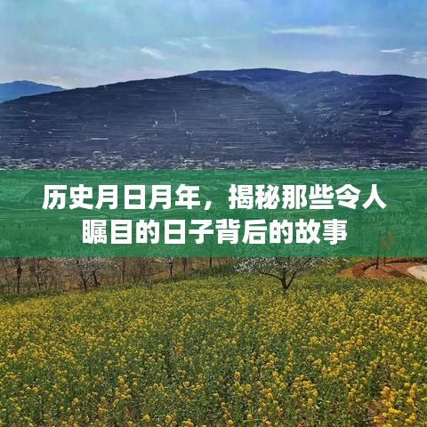 衣不兼采 第3页