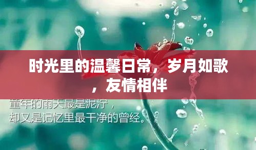 岁月温馨日常，友情长伴如歌
