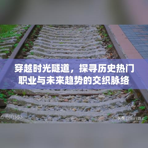 料事如神 第3页