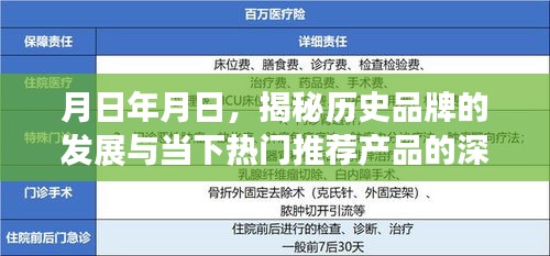 揭秘历史品牌发展及热门推荐产品深度评测