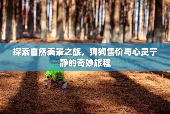 自然美景与心灵宁静的奇妙旅程，狗狗售价与探索之旅