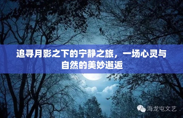 月影之下的心灵与自然，宁静之旅的美妙邂逅