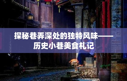 历史小巷深处的独特风味，美食札记探秘之旅