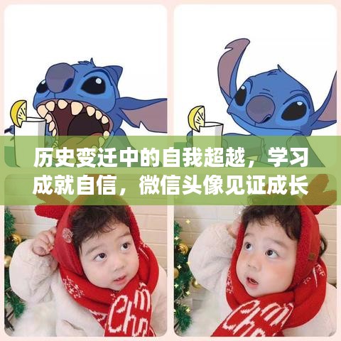 生张熟魏
