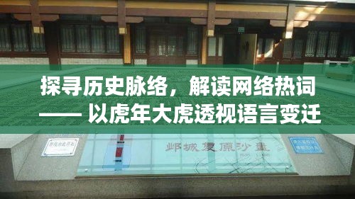 探寻历史脉络，解读网络热词，虎年大虎透视语言变迁现象