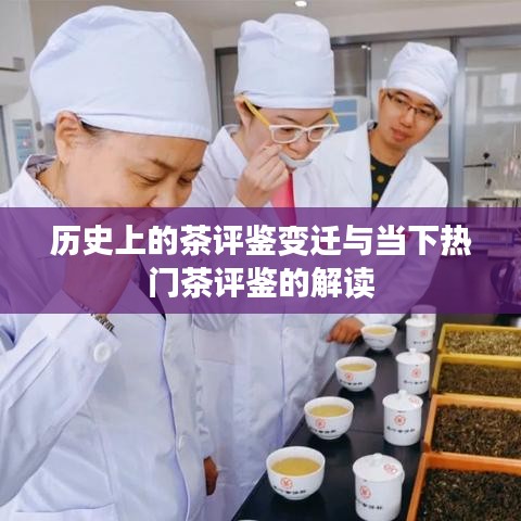 历史上的茶评鉴变迁与现代热门茶评解读