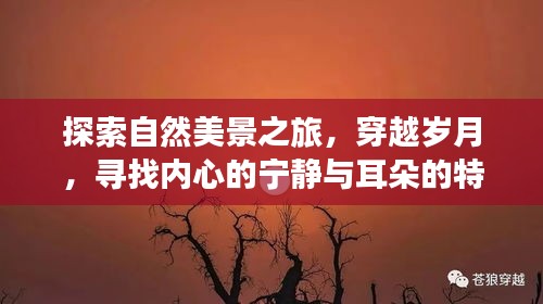 穿越时光的自然探索，寻找内心宁静与耳朵的奇妙之旅