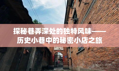 历史小巷中的秘密小店之旅，探秘独特风味之旅