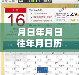 全新智能喂鱼系统深度解析，历史沿革与当代应用