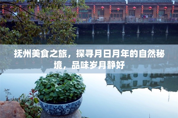 抚州美食之旅，探寻自然秘境，品味岁月静好的月日月年美食