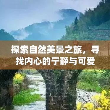自然探索之旅，心灵的宁静与宝贝的奇妙时光