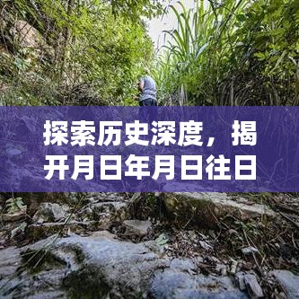 揭开历史面纱，详细步骤指南探索月日年月日的往日之谜