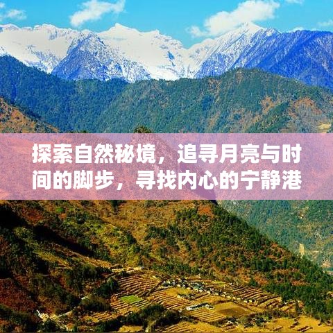 自然秘境探秘，追寻月亮与时间的脚步，寻觅内心宁静之地
