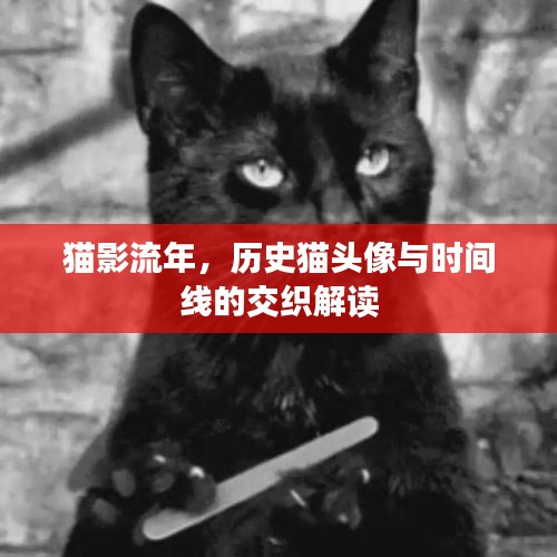 绰约多姿 第2页
