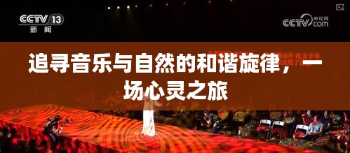 音乐与自然的和谐交融，心灵之旅的旋律追寻